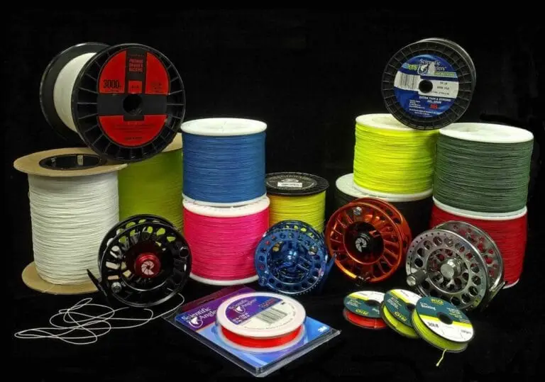 Best Fishing Lines for Every Type of Angler